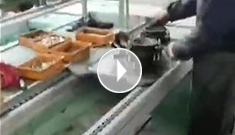 辰力手拉葫蘆車間，手拉葫蘆流水作業(yè)中